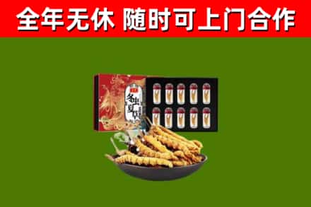 惠民回收冬虫夏草价格